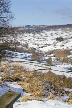 haworth moor to stanbury feb 2012 sm.jpg